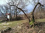 IMG_20231225_121827.jpg