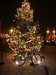IMG_20231212_061222