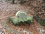 IMG_0604[1]
