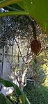 IMG_20231129_114349_1