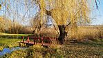 IMG_20231228_101344