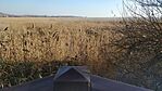 IMG_20231228_102520