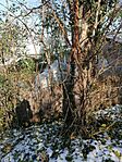 IMG_20231203_101512