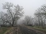 IMG_20231220_094920