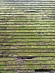 IMG_20231219_135433