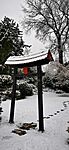 IMG_20231210_095700