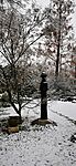 IMG_20231210_100422