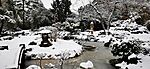 IMG_20231210_100738