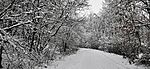 IMG_20231210_115807