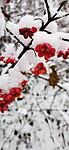 IMG_20231210_123057
