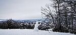 IMG_20231210_125927