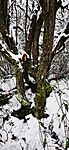 IMG_20231210_131413