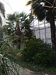 IMG_20231231_151646_1