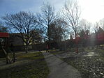 DSCN1544