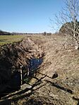 IMG_20240128_114117