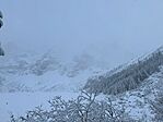 IMG_2982
