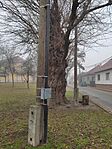 IMG_20231231_115113