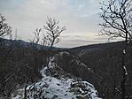 IMG_20240119_154530