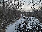IMG_20240119_154656