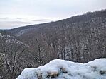 IMG_20240119_154553