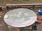 IMG_20231125_110255