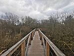 IMG_20231125_111628