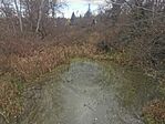 IMG_20231125_112417