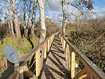 IMG_20231125_122138