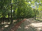 IMG_20230824_124919