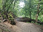 IMG_20230819_111249