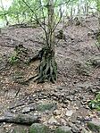 IMG_20230819_112238