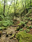 IMG_20230819_115013