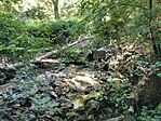 IMG_20230812_095317