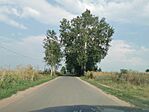 IMG_20230805_161051