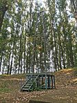 IMG_20230805_161627
