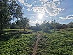 IMG_20231006_155413