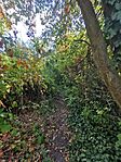 IMG_20231006_155531