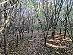 IMG_20231006_155614