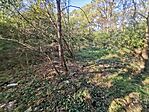 IMG_20231006_160009