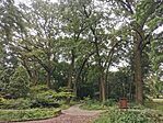IMG_20230730_144814