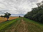 IMG_20230730_155000