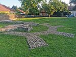 IMG_20230714_062411