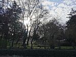IMG_20230325_152736