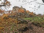 IMG_20221118_150125