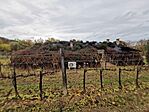 IMG_20221118_153455