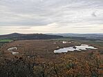 IMG_20221118_154401