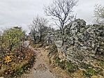 IMG_20221118_123031