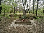 IMG_20220415_152327