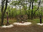 IMG_20220415_152403