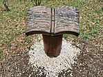 IMG_20220415_152446